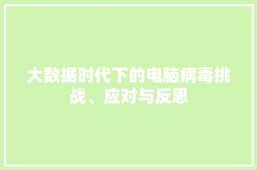 大数据时代下的电脑病毒挑战、应对与反思