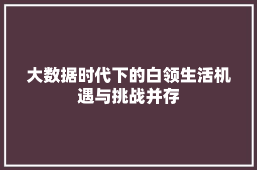 大数据时代下的白领生活机遇与挑战并存