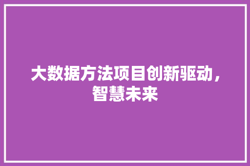 大数据方法项目创新驱动，智慧未来