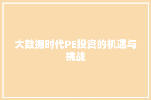 大数据时代PE投资的机遇与挑战 WordPress教程