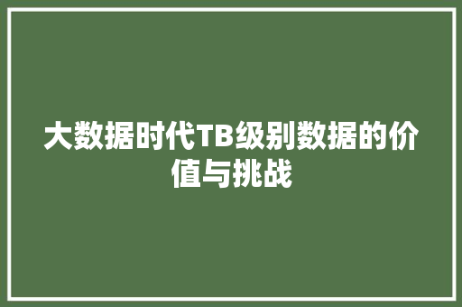 大数据时代TB级别数据的价值与挑战 SEO教程