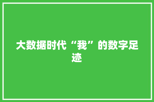 大数据时代“我”的数字足迹 服务器/数据库