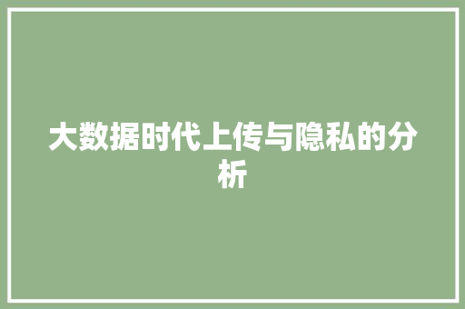 大数据时代上传与隐私的分析
