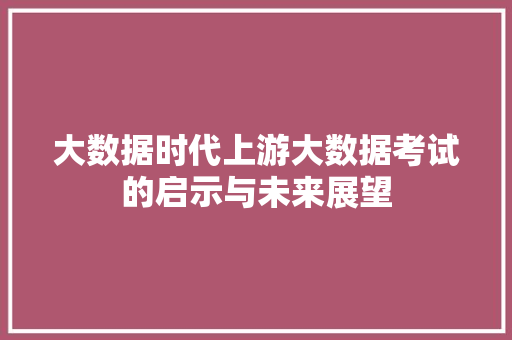大数据时代上游大数据考试的启示与未来展望 WordPress教程