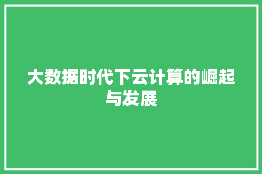 大数据时代下云计算的崛起与发展