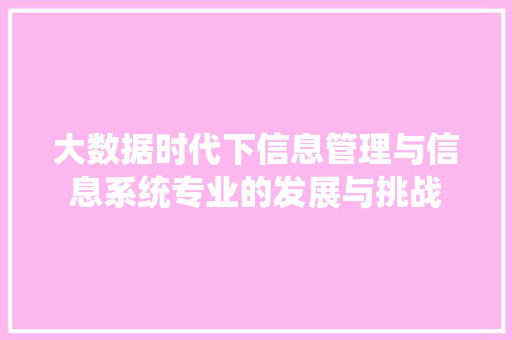 大数据时代下信息管理与信息系统专业的发展与挑战