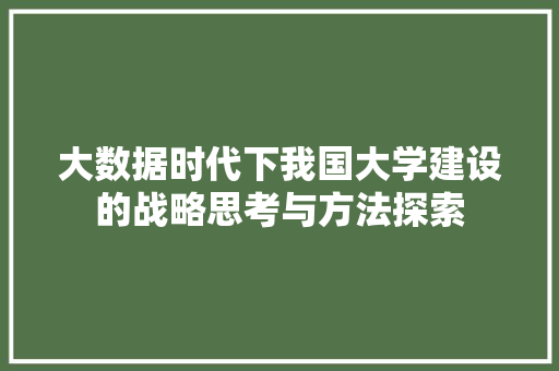 大数据时代下我国大学建设的战略思考与方法探索 建站教程