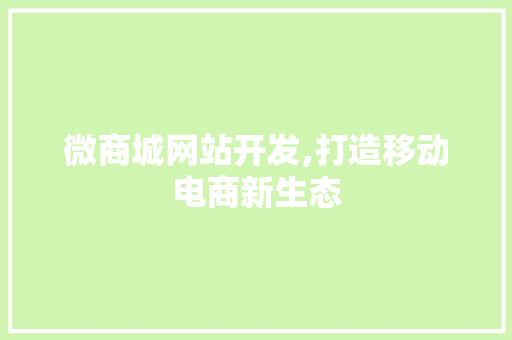 微商城网站开发,打造移动电商新生态