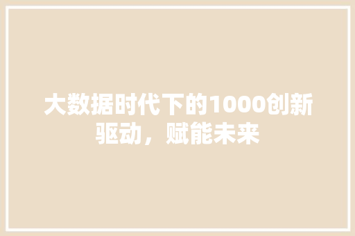 大数据时代下的1000创新驱动，赋能未来 SEO教程