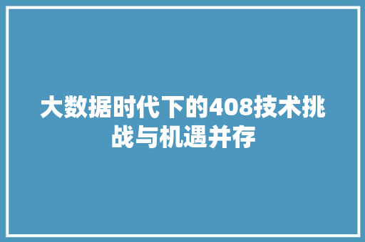 大数据时代下的408技术挑战与机遇并存 SEO教程