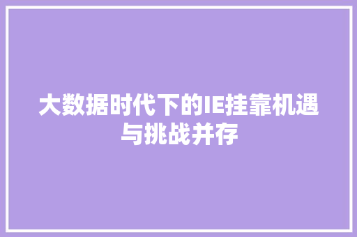 大数据时代下的IE挂靠机遇与挑战并存 SEO教程