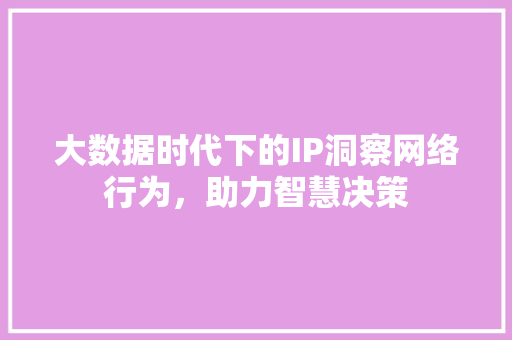 大数据时代下的IP洞察网络行为，助力智慧决策 WordPress教程