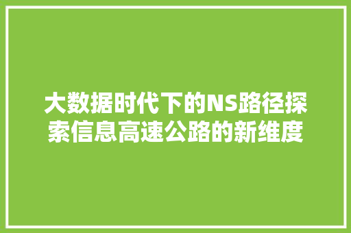 大数据时代下的NS路径探索信息高速公路的新维度