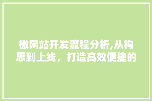 微网站开发流程分析,从构思到上线，打造高效便捷的线上平台