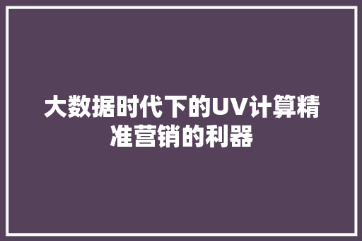 大数据时代下的UV计算精准营销的利器