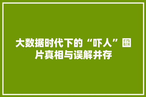 大数据时代下的“吓人”图片真相与误解并存