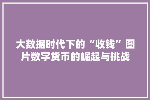 大数据时代下的“收钱”图片数字货币的崛起与挑战