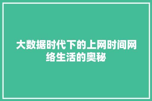 大数据时代下的上网时间网络生活的奥秘