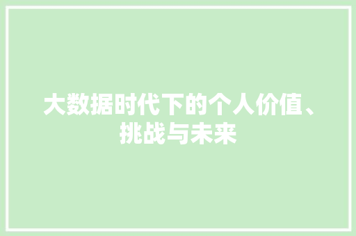 大数据时代下的个人价值、挑战与未来
