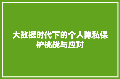 大数据时代下的个人隐私保护挑战与应对