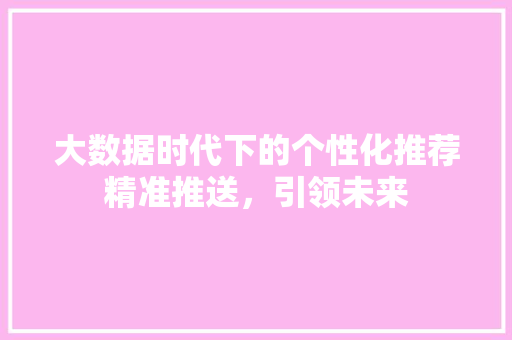 大数据时代下的个性化推荐精准推送，引领未来