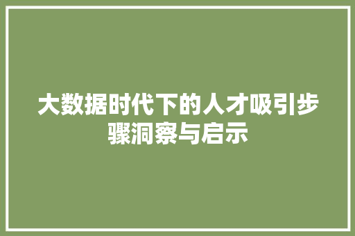 大数据时代下的人才吸引步骤洞察与启示
