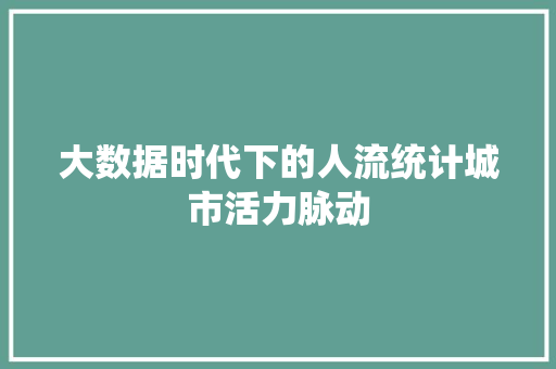大数据时代下的人流统计城市活力脉动