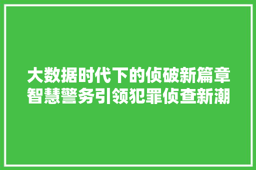 大数据时代下的侦破新篇章智慧警务引领犯罪侦查新潮流
