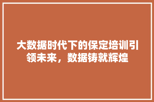 大数据时代下的保定培训引领未来，数据铸就辉煌