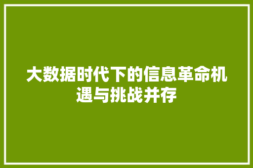大数据时代下的信息革命机遇与挑战并存