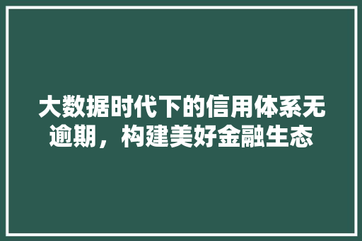 大数据时代下的信用体系无逾期，构建美好金融生态