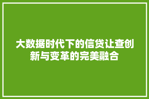 大数据时代下的信贷让查创新与变革的完美融合