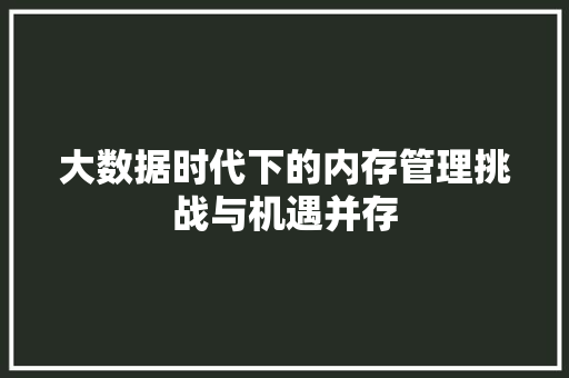 大数据时代下的内存管理挑战与机遇并存