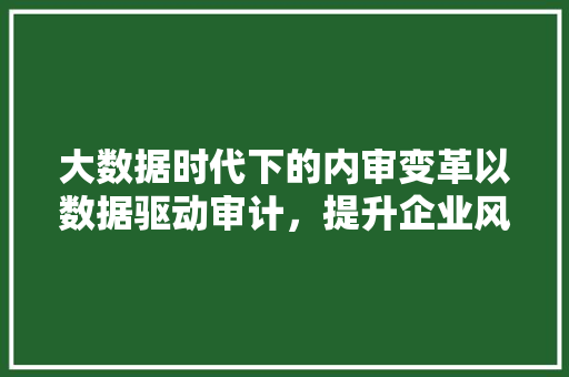 大数据时代下的内审变革以数据驱动审计，提升企业风险管理水平