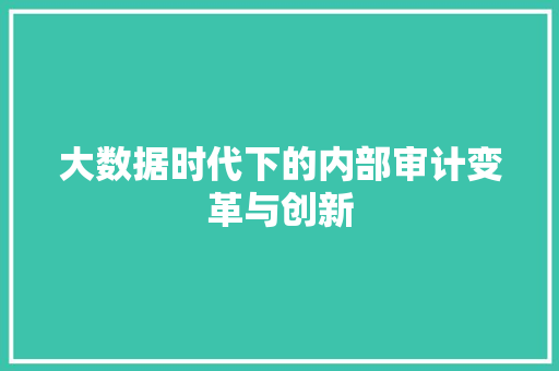 大数据时代下的内部审计变革与创新