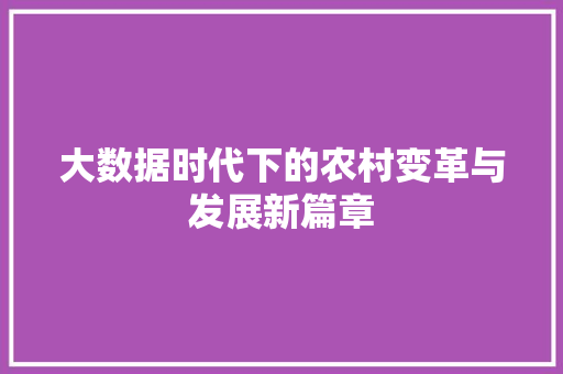 大数据时代下的农村变革与发展新篇章