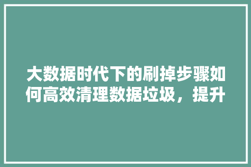 大数据时代下的刷掉步骤如何高效清理数据垃圾，提升数据分析质量
