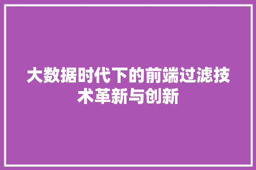 大数据时代下的前端过滤技术革新与创新
