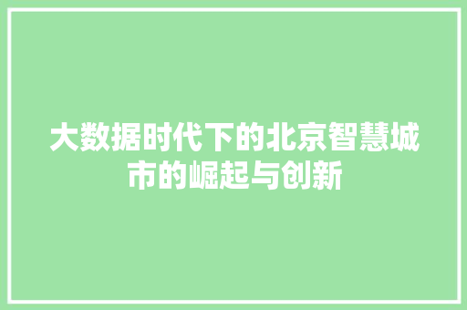 大数据时代下的北京智慧城市的崛起与创新