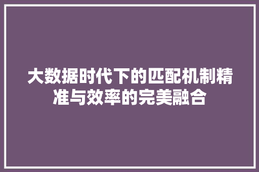 大数据时代下的匹配机制精准与效率的完美融合