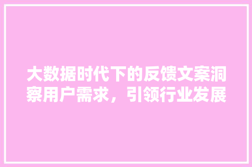 大数据时代下的反馈文案洞察用户需求，引领行业发展