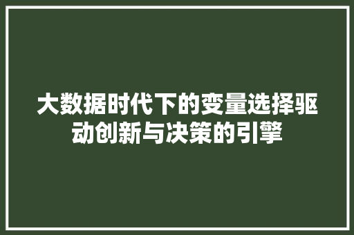 大数据时代下的变量选择驱动创新与决策的引擎