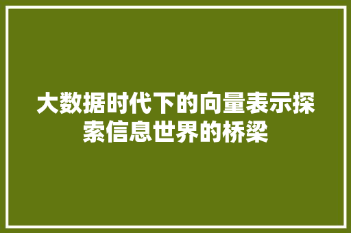 大数据时代下的向量表示探索信息世界的桥梁