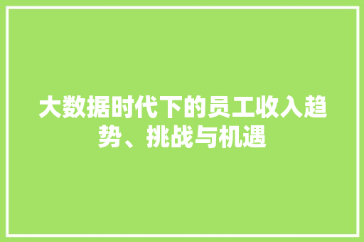 大数据时代下的员工收入趋势、挑战与机遇