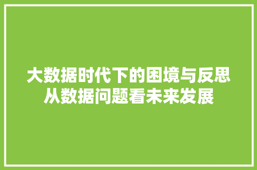大数据时代下的困境与反思从数据问题看未来发展