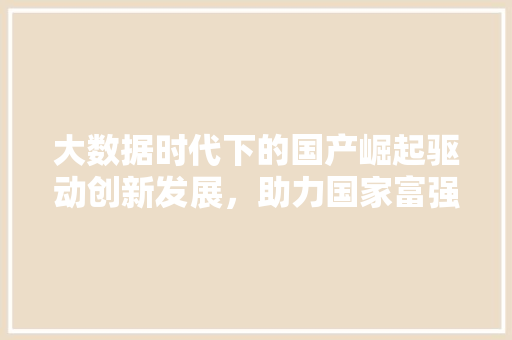 大数据时代下的国产崛起驱动创新发展，助力国家富强
