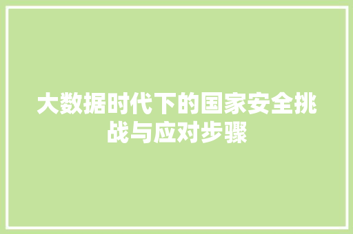 大数据时代下的国家安全挑战与应对步骤