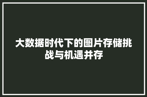 大数据时代下的图片存储挑战与机遇并存