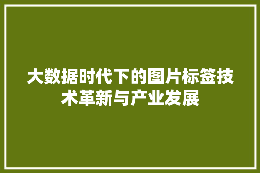 大数据时代下的图片标签技术革新与产业发展