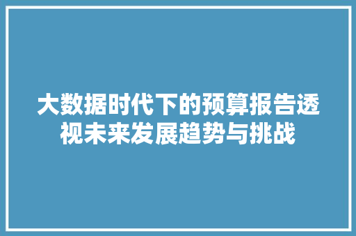 大数据时代下的预算报告透视未来发展趋势与挑战